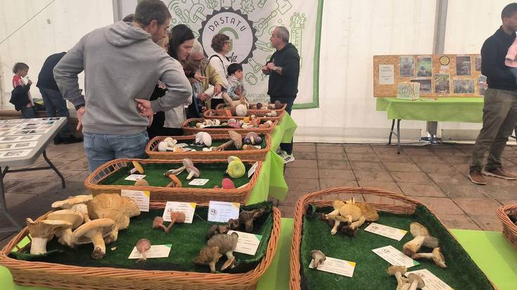 Dastatu Urria 2025: perretxikoak, gastronomia, musika eta artisau garagardoa Gorlizen