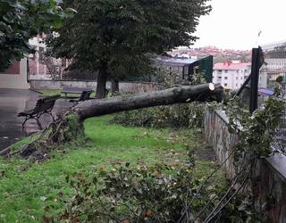 Alerta laranja aktibatu dute biharko, haize-bolada handiengatik