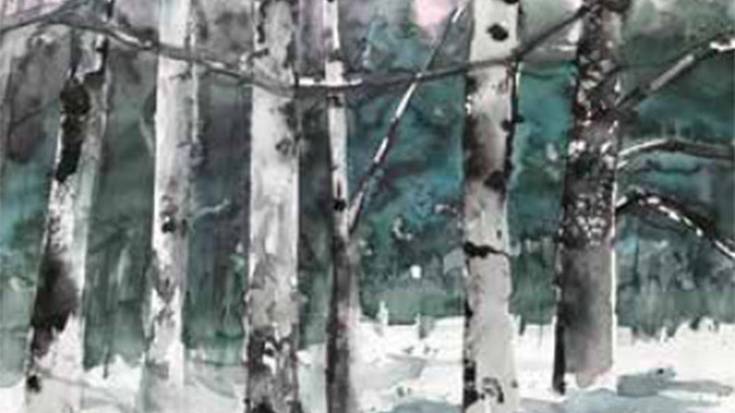 Ana Undurragaren erakusketa: "In Natura"