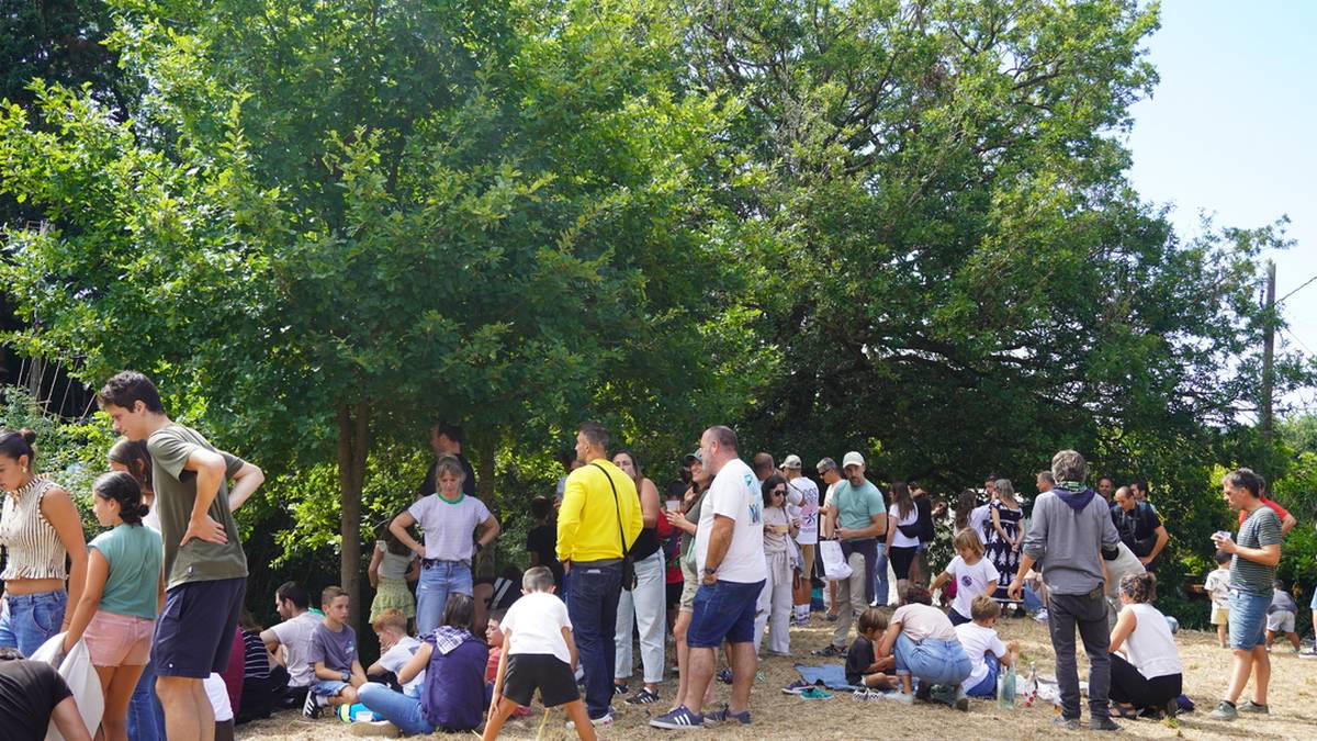 Herritik sortutako festa