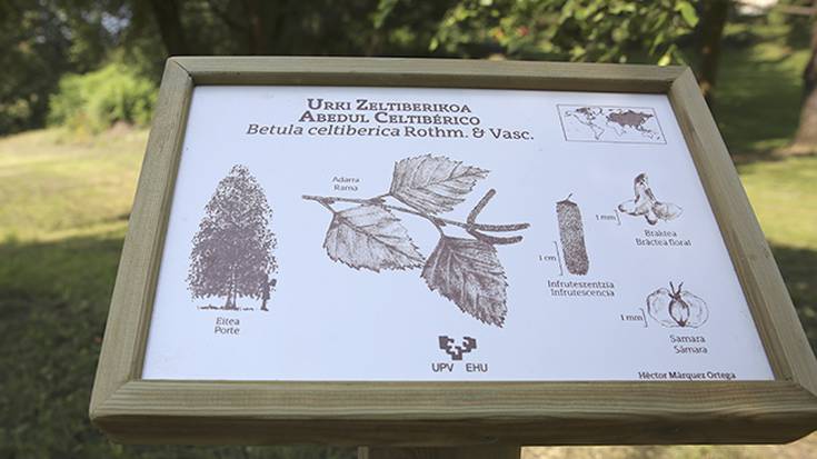 Inauguratu dute EHUko Arboretumeko espezieen seinaleztapen berria