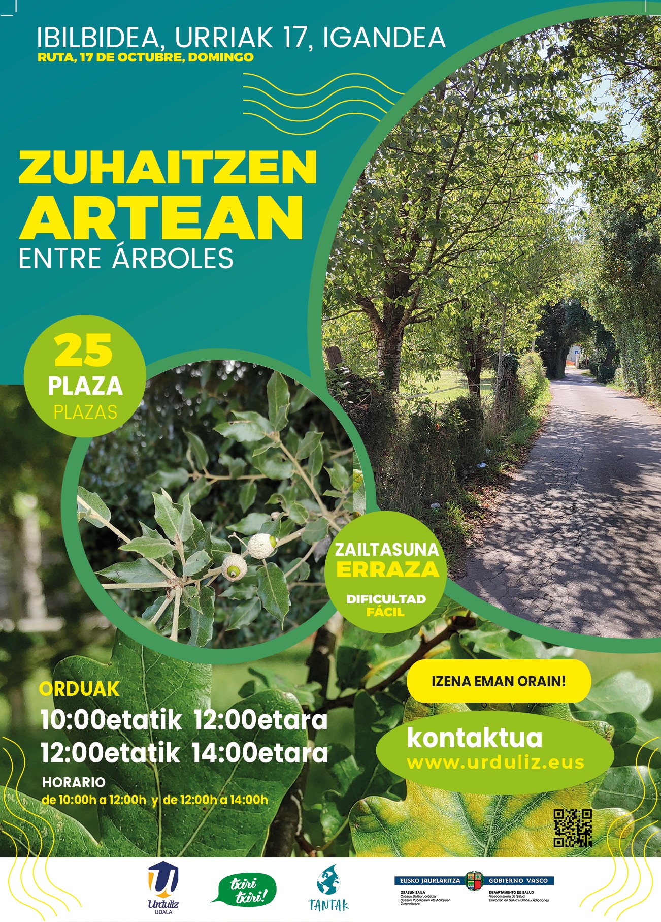 Udalerriko zuhaitz-motak ezagutzeko ibilaldia egingo dute urriaren 17an