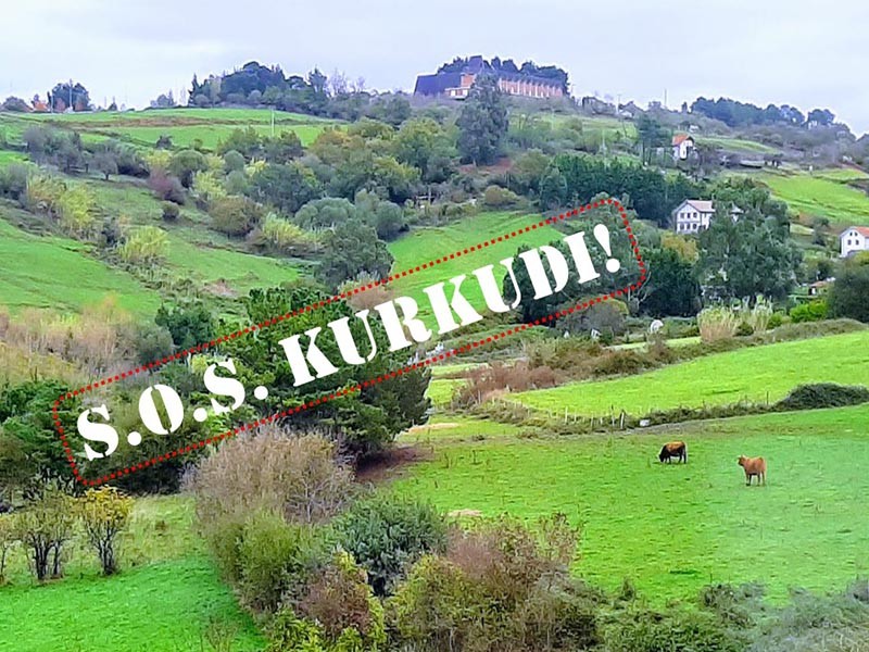 SOS Kurkudik salatu du Leioako Plangintzako Aholku Batzordetik kanpo uztea erabaki duela Udalak