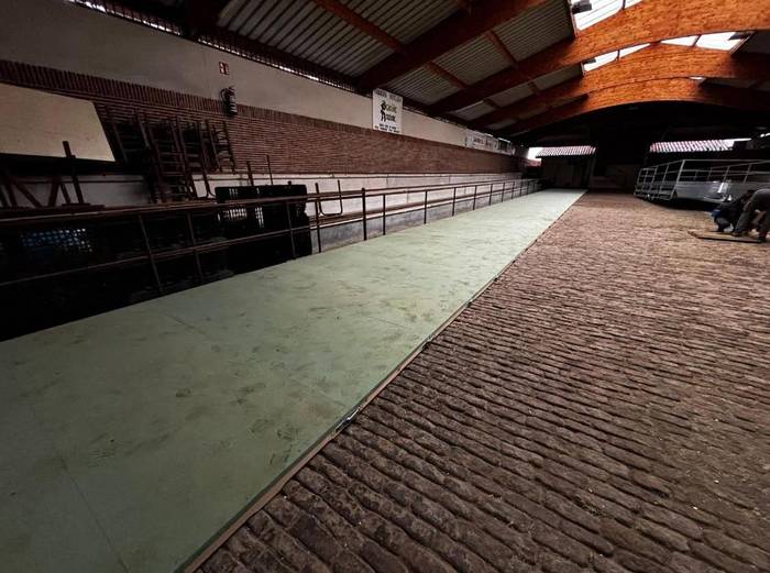 Berangoko Udalak plataforma berri bat jarri du probalekuan