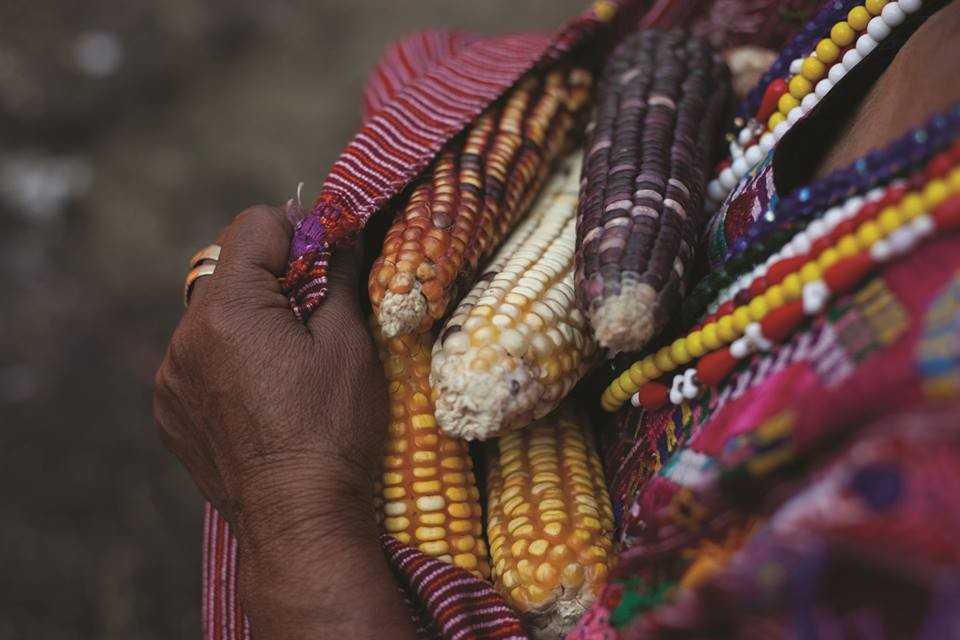 Guatemalari eta feminismoari buruzko berbaldia bihar Areetan