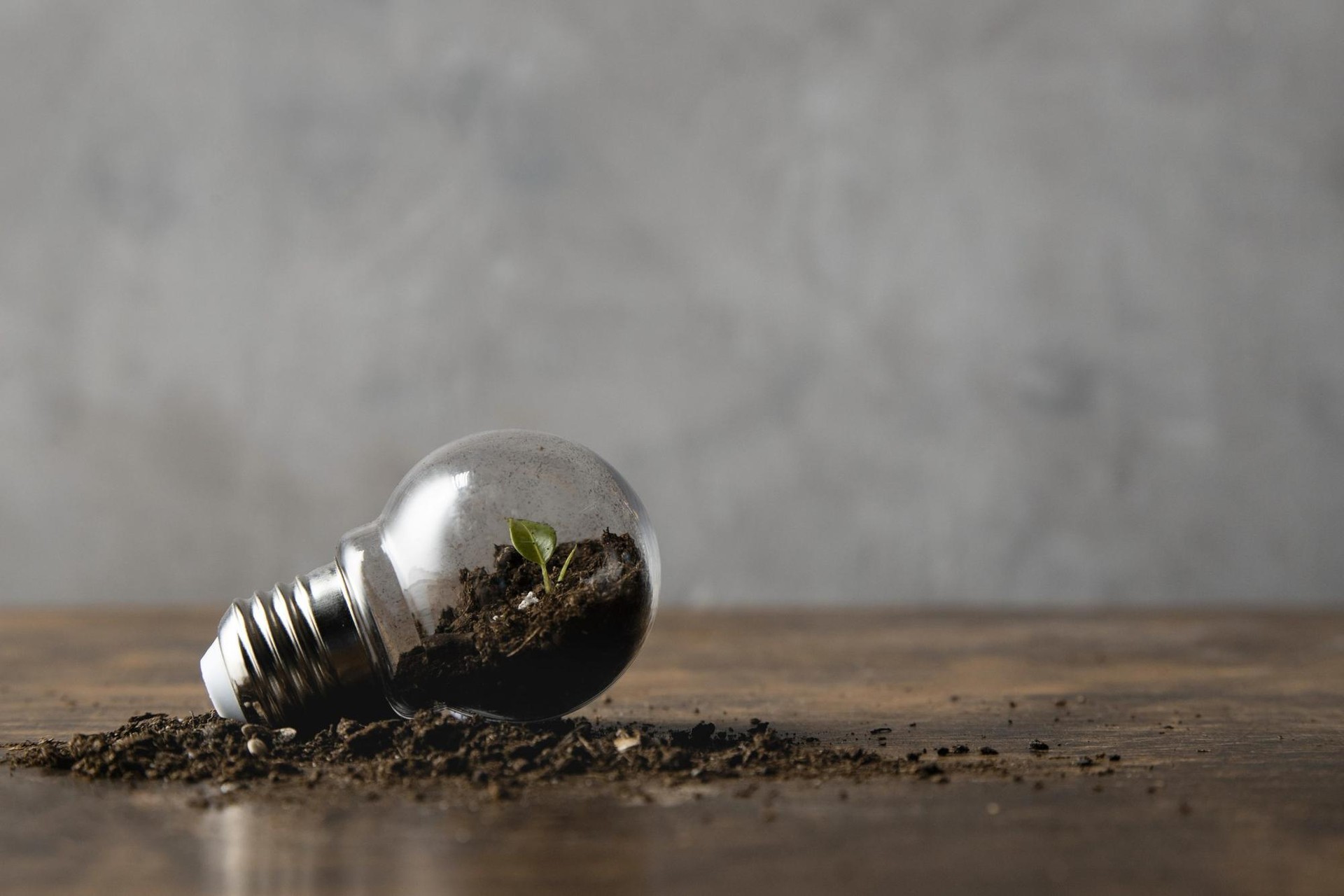 Komunitate energetikoak sortu gura dituzte Lemoizen eta Urdulizen