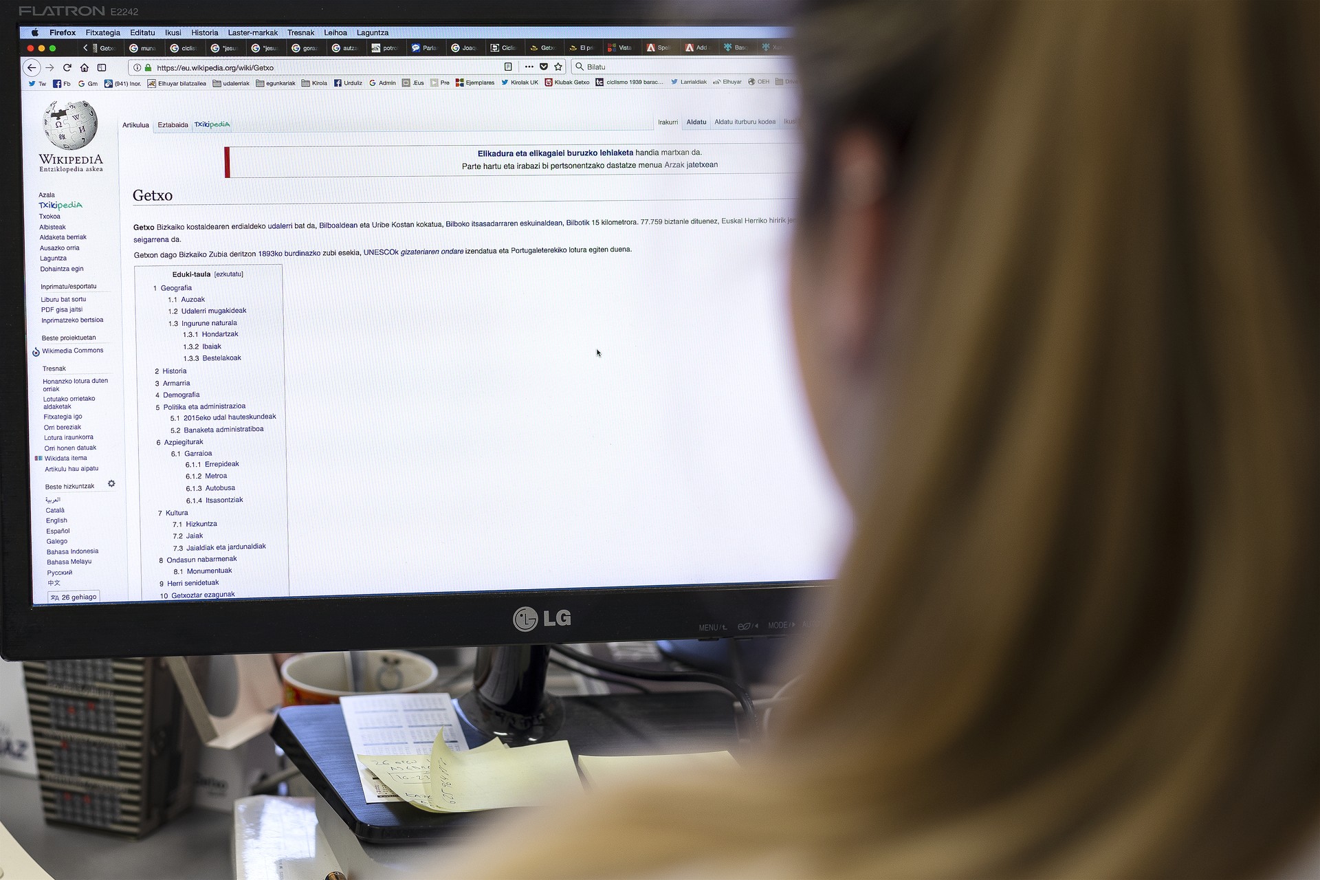 Getxopedia, Interneten euskararen presentzia areagotzeko proiektua