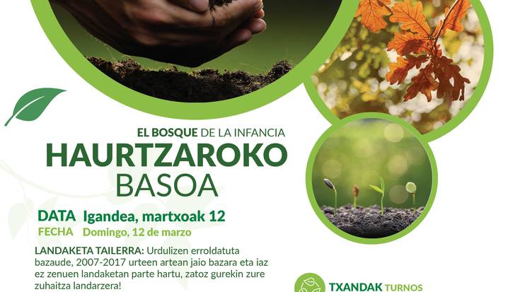 Haurtzaroko Basoa