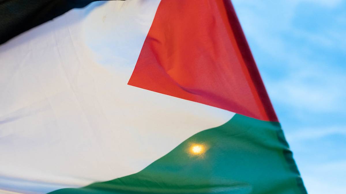 Palestinaren aldeko manifestazioa egingo dute zapatuan Itzubaltzeta/Romon