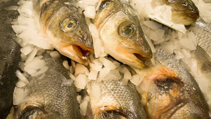 I. Barrikako Itsas Merkatua