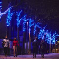 Erregeen Harrera Eguna