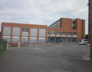 Plentziako eta Gorlizko udalek elkartasuna adierazi diote jazarpena jaso duen irakasleari, eta gertatutakoa arbuiatu dute