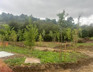 Berangon Itze ibaiaren pasealeku berria eraikitzen hasi dira
