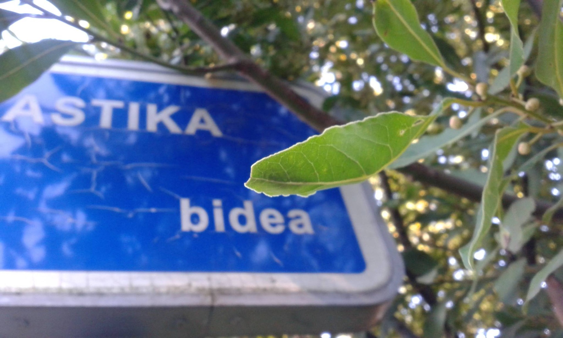 Txango gidatua egingo dute zapatuan Erandioko auzolan-ekimenetatik 