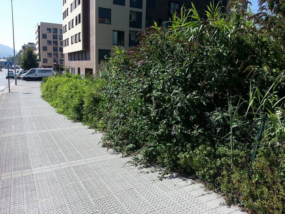 Arratoiakaz arazoak, Lamiakoko Langileria kalean