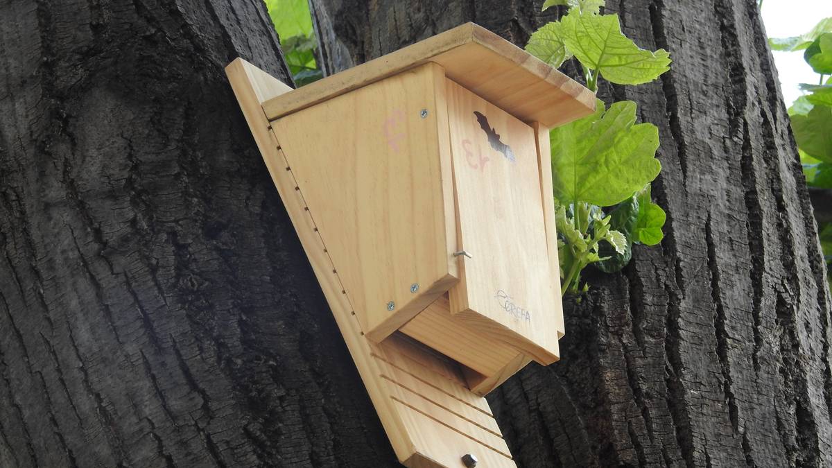 Habia-kutxak egiteko tailerra antolatu du Getxoko Ingurumen Unitateak