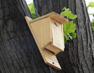 Habia-kutxak egiteko tailerra antolatu du Getxoko Ingurumen Unitateak