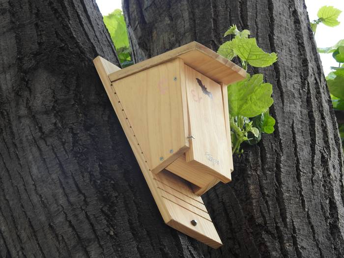 Habia-kutxak egiteko tailerra antolatu du Getxoko Ingurumen Unitateak