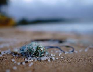 Herritarren artean hondakinen kudeaketa jasangarriagoa bultzatzeko kanpainagaz jarraitzen du Mankomunitateak