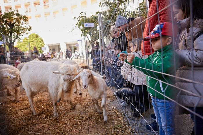 Leioako 35. Nekazaritza eta Abeltzaintza Azoka egingo dute abenduaren 8an, hainbat postu eta jardueragaz