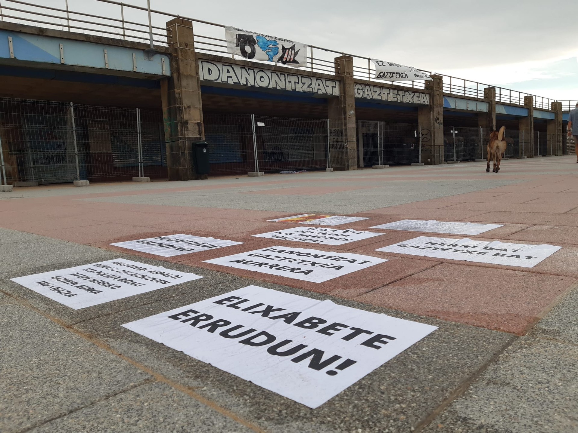 Danontzat gaztetxearen hustea kartelakaz salatu zuten kideei 4.500 euroko isuna jarri diete