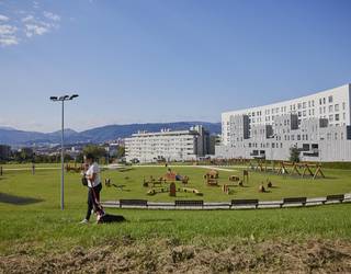 Haurren begietatik biziko den Leioaren 500. urteurrena